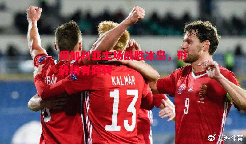 保加利亚主场战胜冰岛，形势稍有好转
