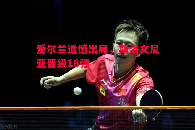 爱尔兰遗憾出局，斯洛文尼亚晋级16强