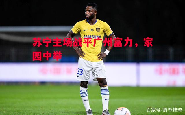 苏宁主场战平广州富力，家园中举