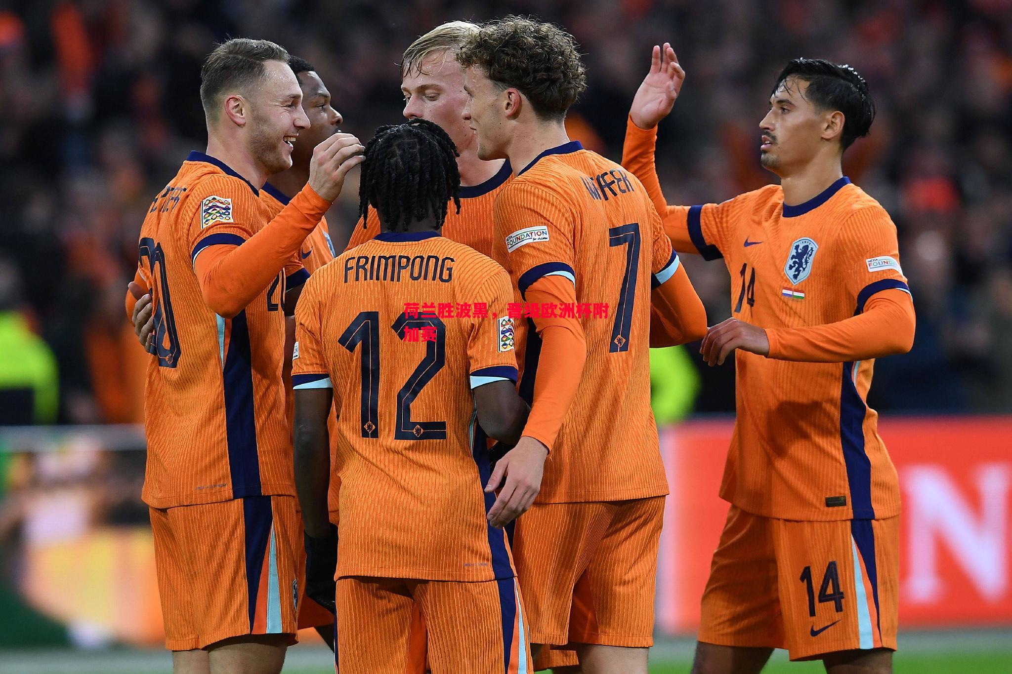 荷兰胜波黑，晋级欧洲杯附加赛