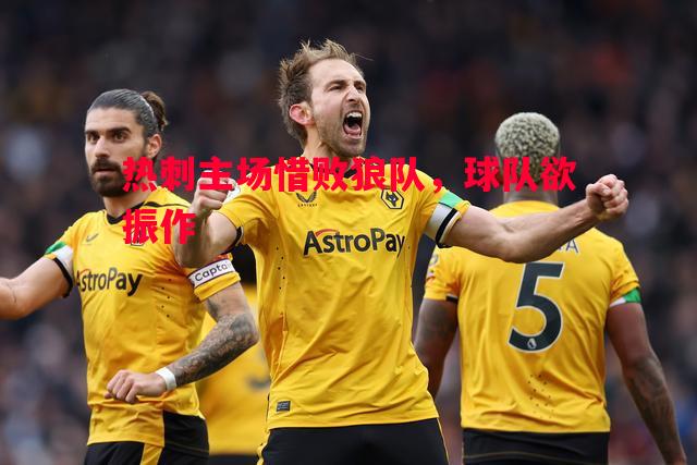 悟空体育-热刺主场惜败狼队，球队欲振作