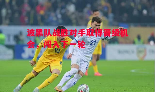 悟空体育-波黑队战胜对手取得晋级机会，闯入下一轮