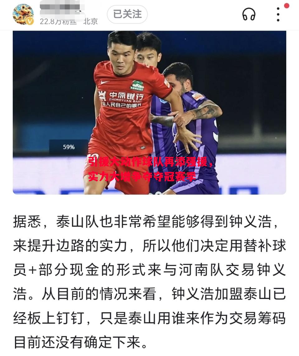 悟空体育-引援大动作球队再添强援，实力大增争夺夺冠赛季