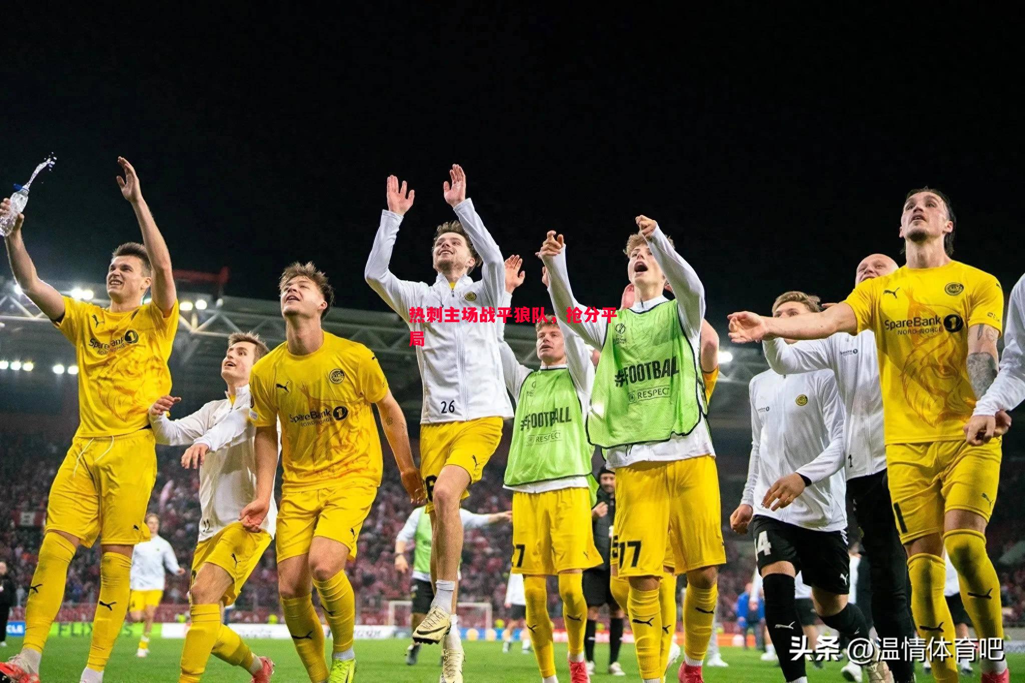 悟空体育官方网站-热刺主场战平狼队，抢分平局