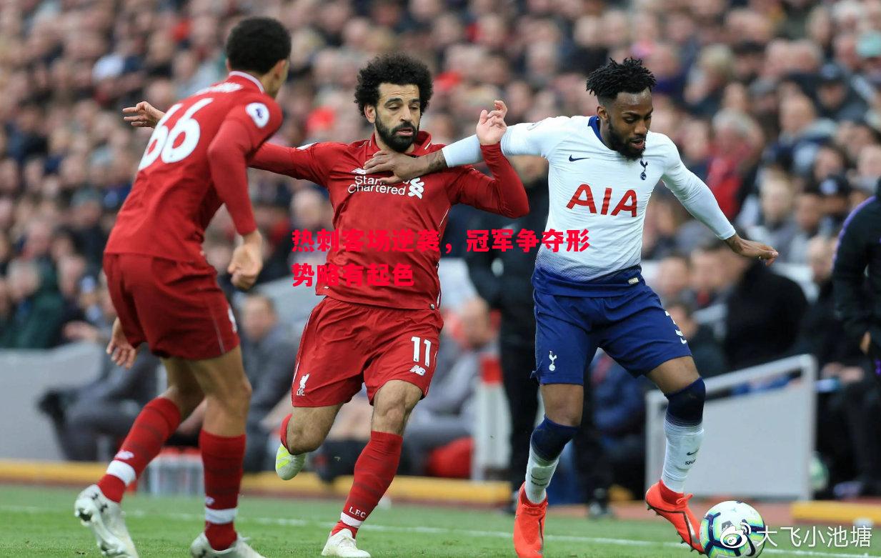 悟空体育官方网站-热刺客场逆袭，冠军争夺形势略有起色